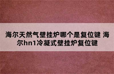 海尔天然气壁挂炉哪个是复位键 海尔hn1冷凝式壁挂炉复位键